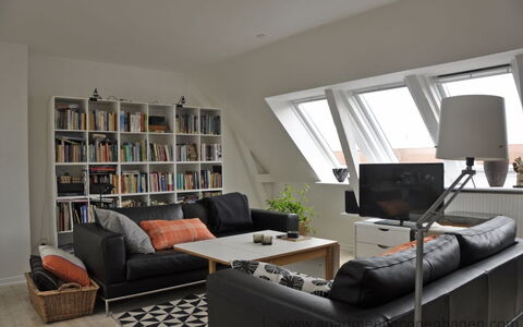 Toldbodgade - Close To Nyhavn: Stue